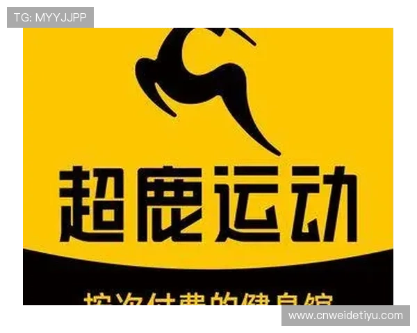 掌握178体育网页版登录步骤详细教程让你快速体验丰富体育内容